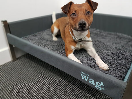 Henry Wag Microvezel Noodle Huisdier Mat - Droogmat voor honden - Maat M - SpirePets