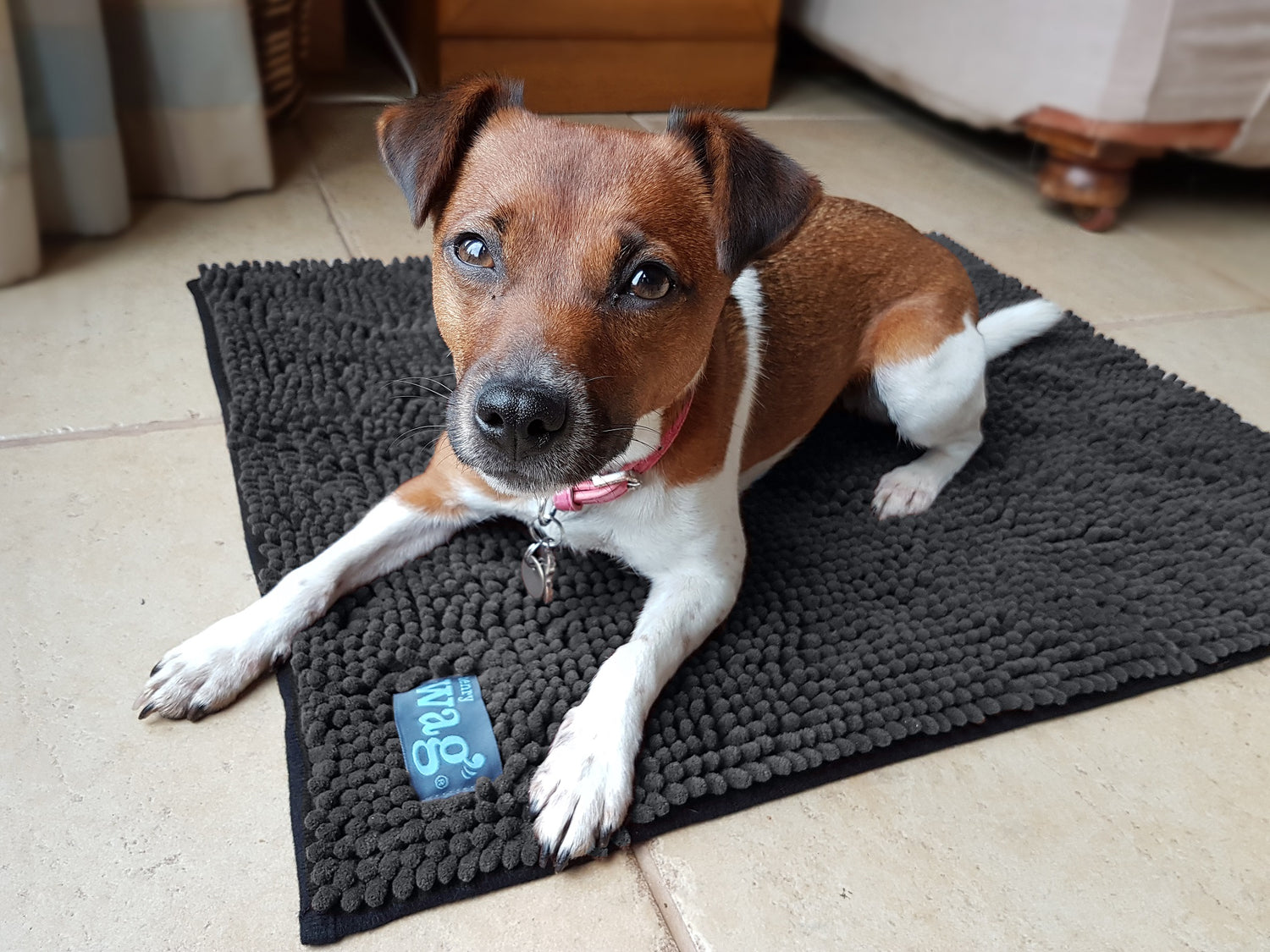 Henry Wag Microvezel Noodle Huisdier Mat - Droogmat voor honden - Maat M - SpirePets