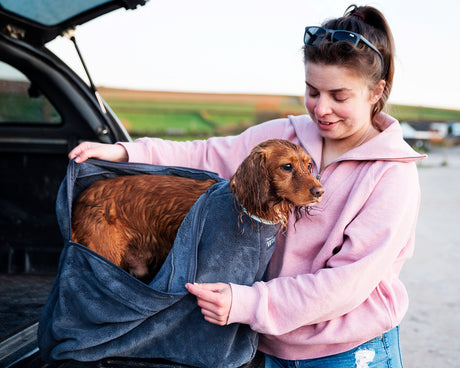 Henry Wag honden droogzak - microvezel - Maat M - SpirePets