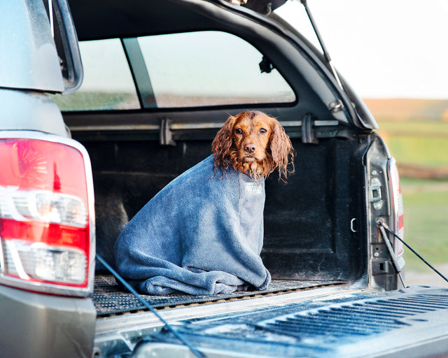 Henry Wag honden droogzak - microvezel - Maat M - SpirePets