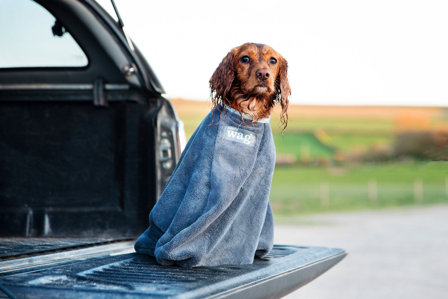 Henry Wag honden droogzak - microvezel - Maat M - SpirePets