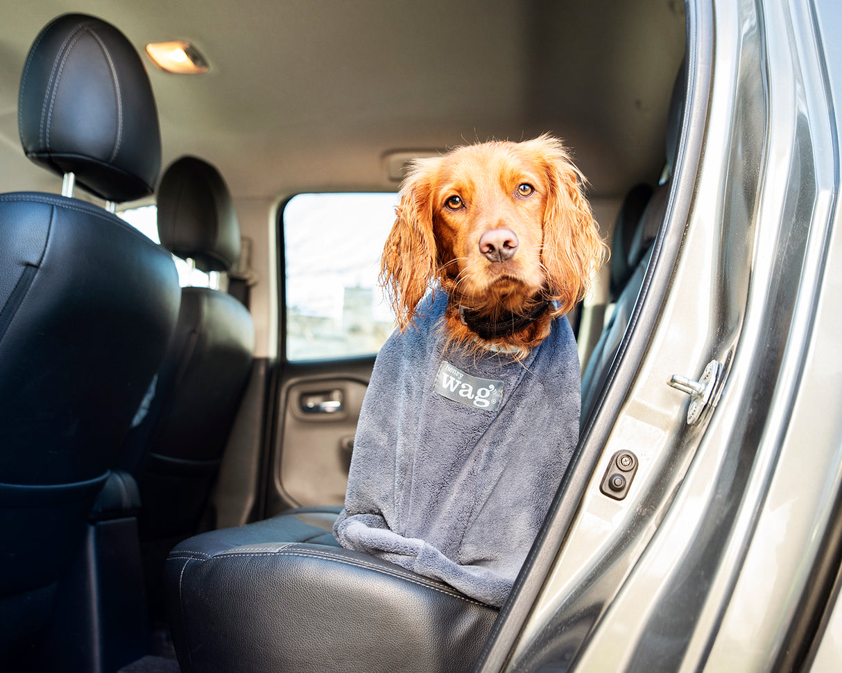 Henry Wag honden droogzak - microvezel - Maat M - SpirePets