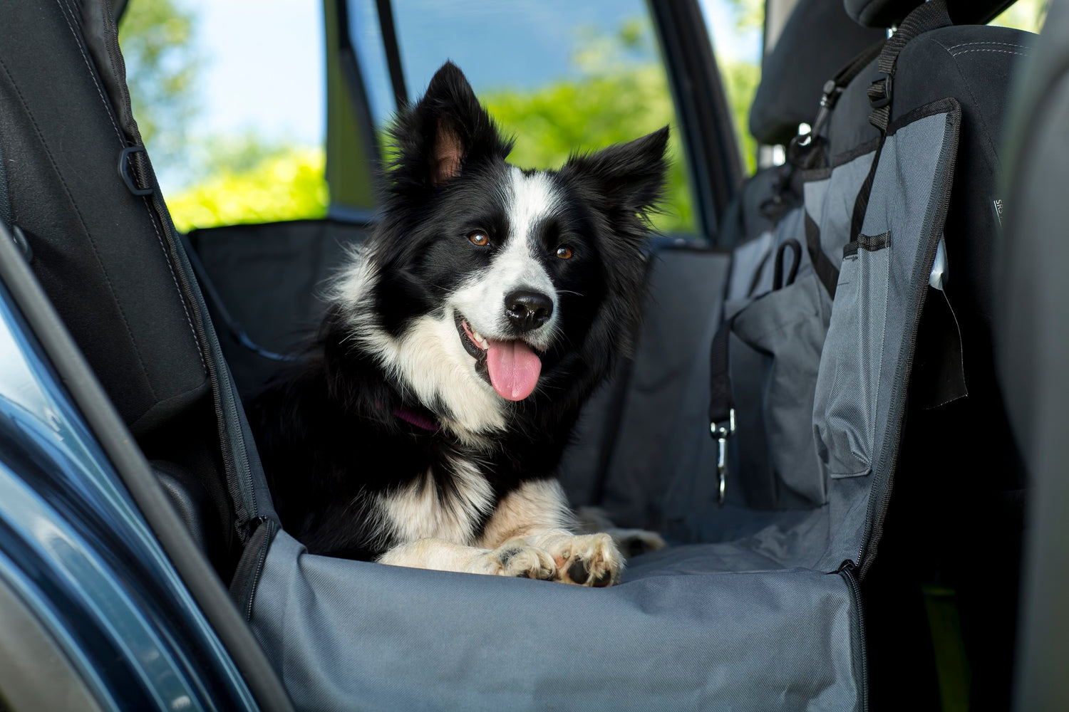 Henry Wag huisdier auto hangmat - autodeken voor hond XL - SpirePets