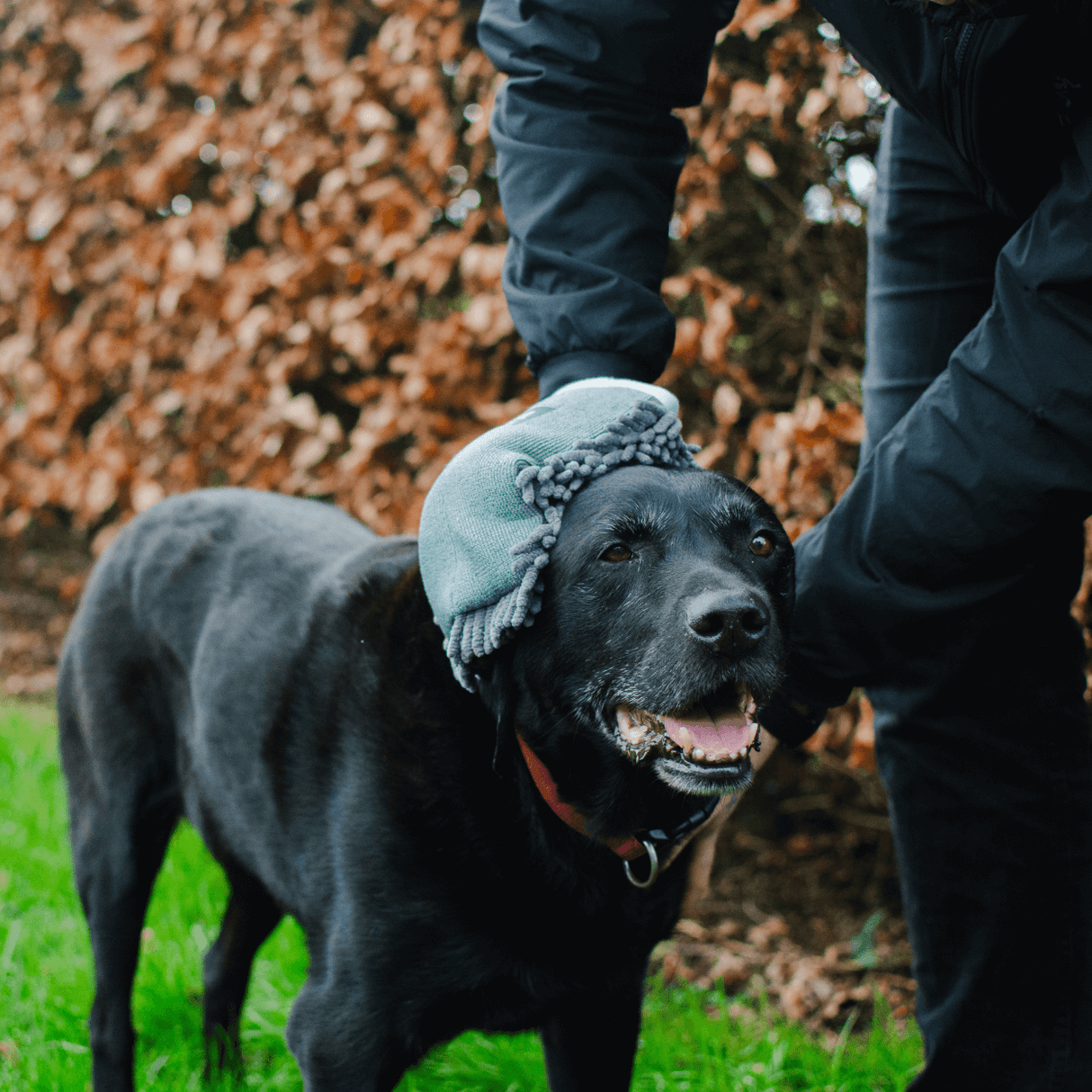 Henry Wag Microvezel huisdier drooghandschoen voor honden - SpirePets