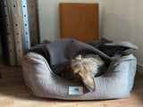 Hondenmand Bastiaan - Ribcord - maat S - SpirePets