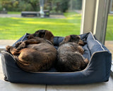 Huisdierenmand Bastiaan voor katten of honden maat L - SpirePets