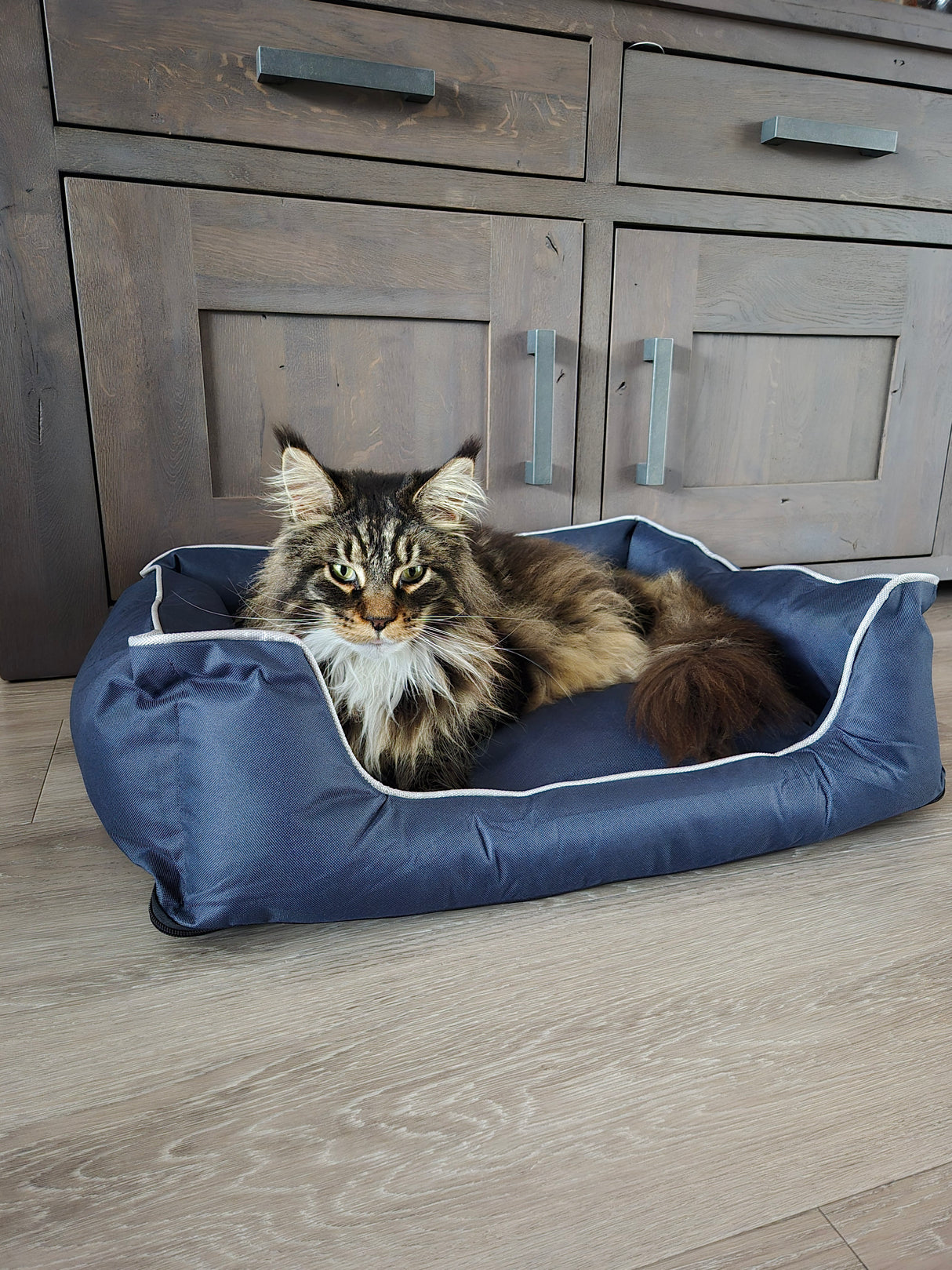 Huisdierenmand Bastiaan voor katten of honden maat L - SpirePets