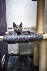Katten krabpaal Candy - klimboom - grijs - SpirePets