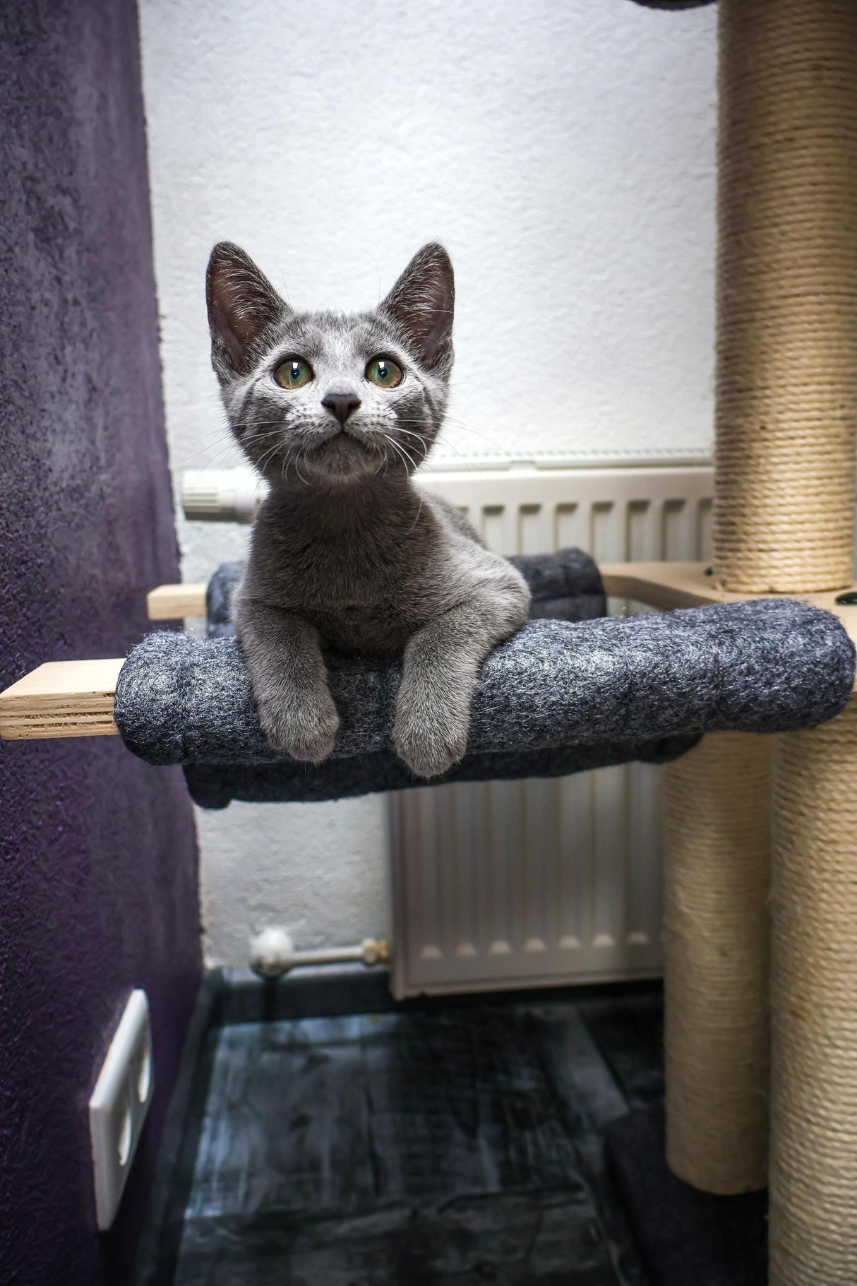 Katten krabpaal Candy - klimboom - grijs - SpirePets