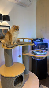 Arbre à chat de luxe - Griffoir - Meuble à chat