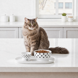 Plateau Necoichi comprenant deux gamelles pour chats