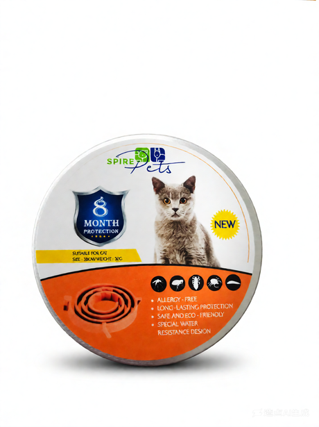 Gamelle ronde pour chien - acier inoxydable - gamelle pour chien - petite gamelle pour chien - Taille S