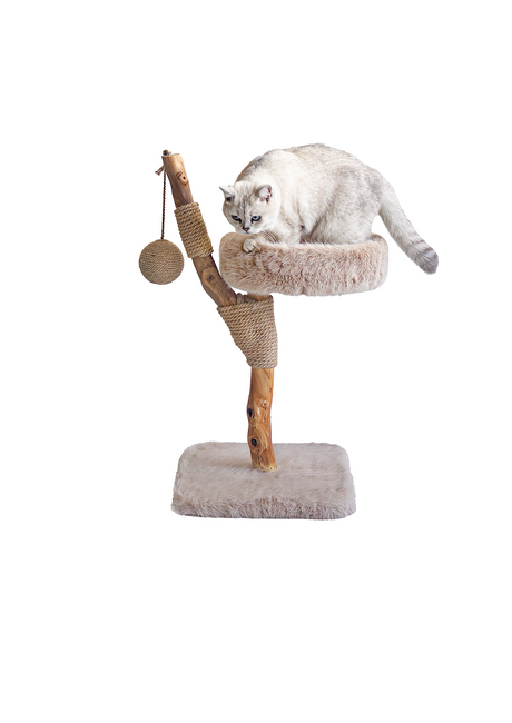 LUNA krabpaal van massief vruchtenhout - SpirePets