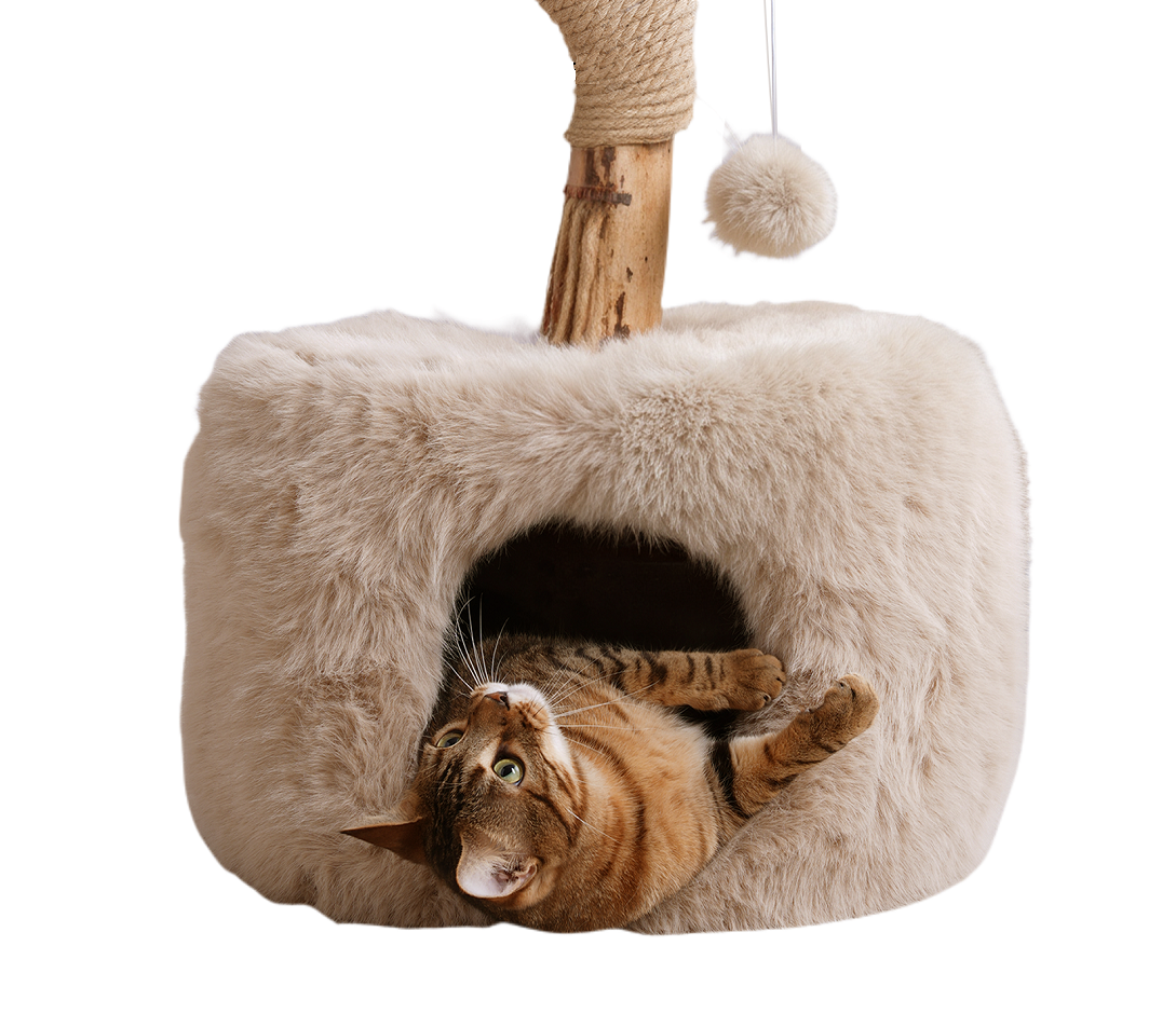 ISLA krabpaal met kattenhuis en kattenmand - SpirePets