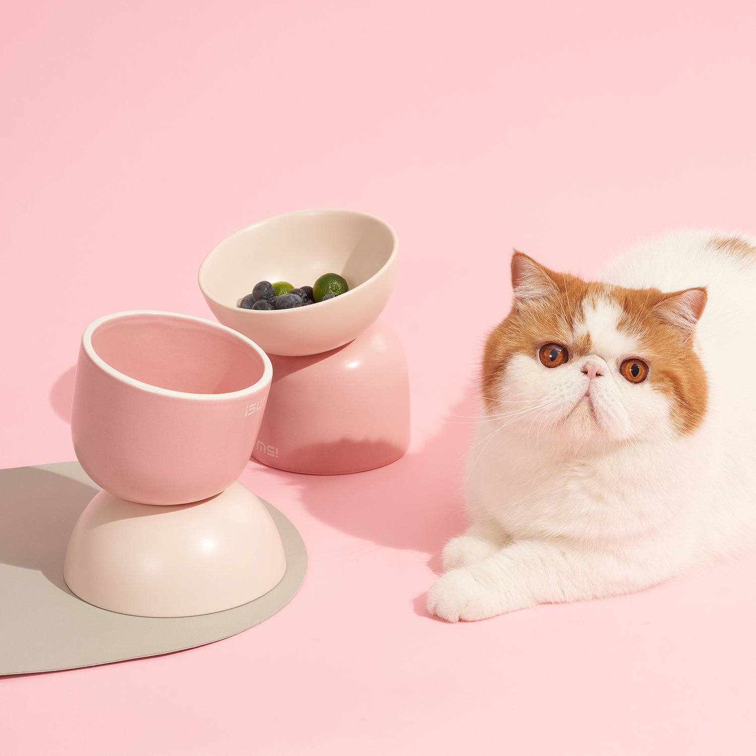 Verhoogde kattenvoerbak - keramische voerbak kat - roze - SpirePets
