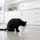 Gamelle surélevée pour chat - Gamelle en porcelaine pour chat