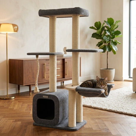 Katten krabpaal Candy - klimboom voor katten