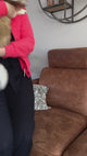 Peigne anti-nœuds pour chiens et chats - Multifonctionnel