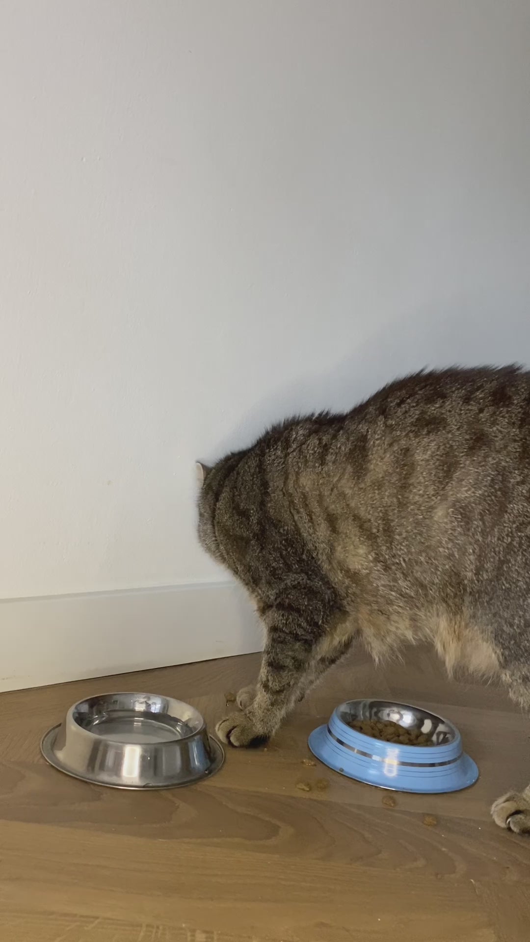 Necoichi Katten voerbakjes met dienblad van porselein