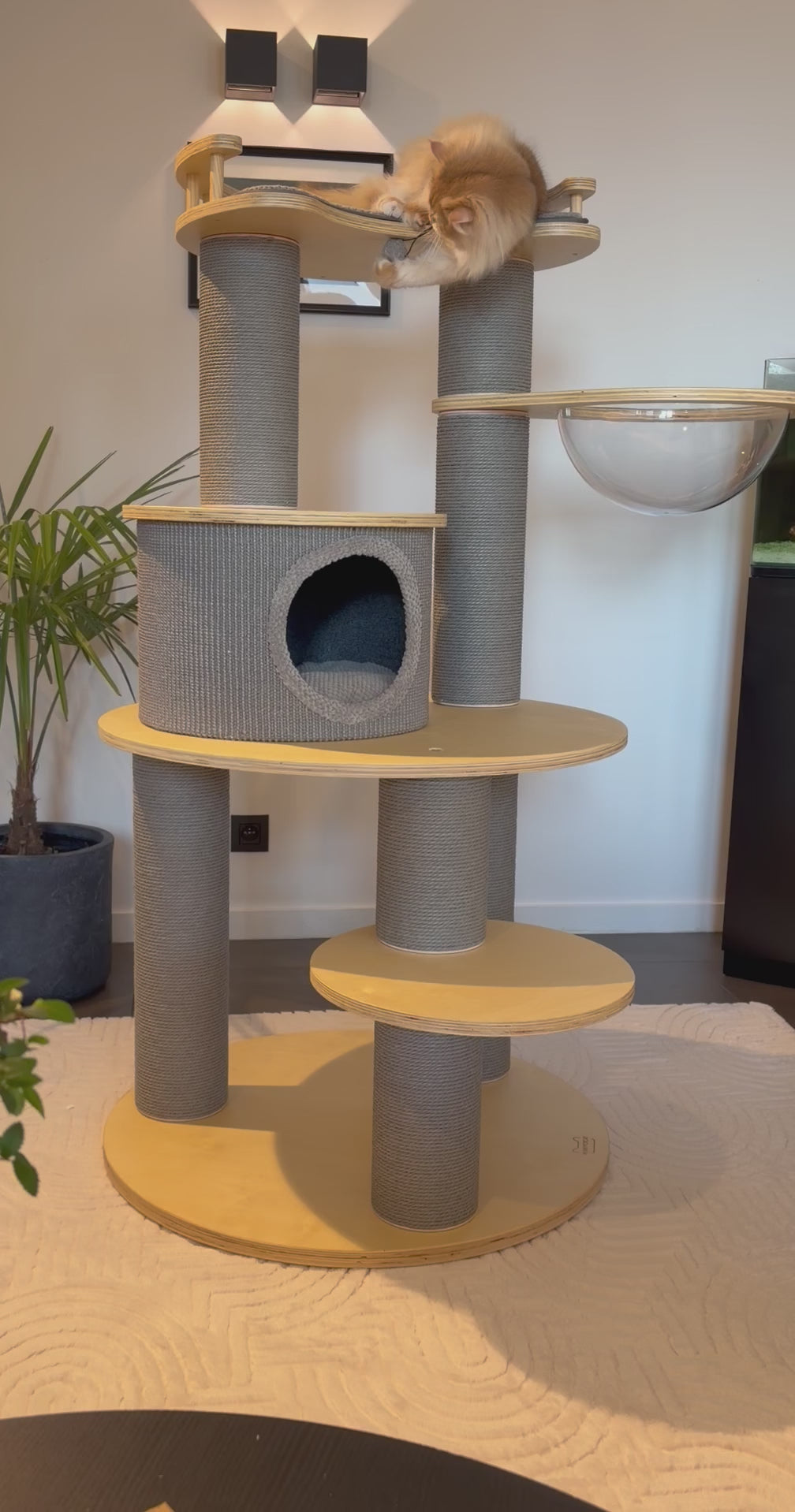 Arbre à chat de luxe - Griffoir - Meuble à chat