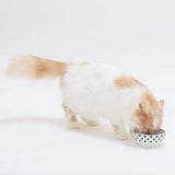 5 cm - voerbakje katten - kattenvoerbak